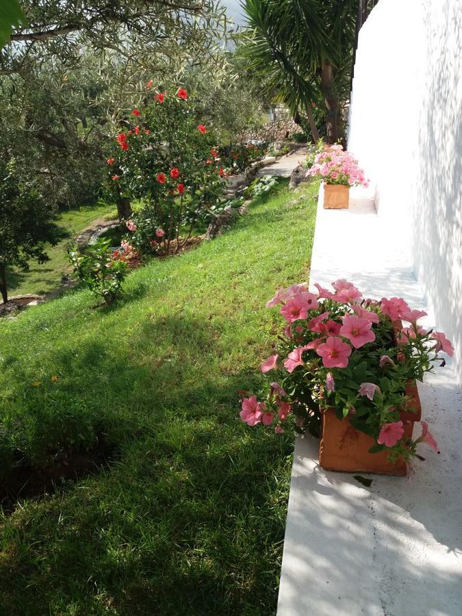 Villa Kostandin Qeparo Zewnętrze zdjęcie